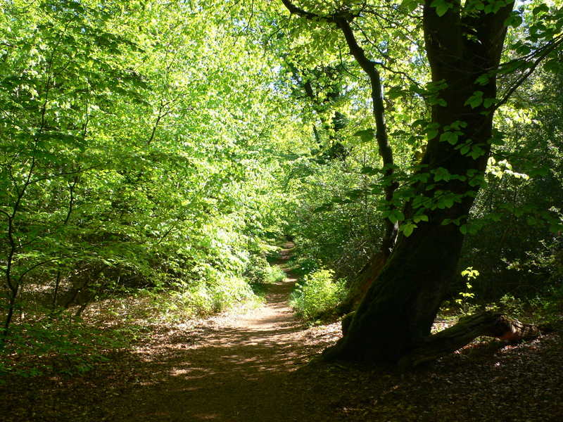 Sehenswertes - Gemeinde Bockhorn