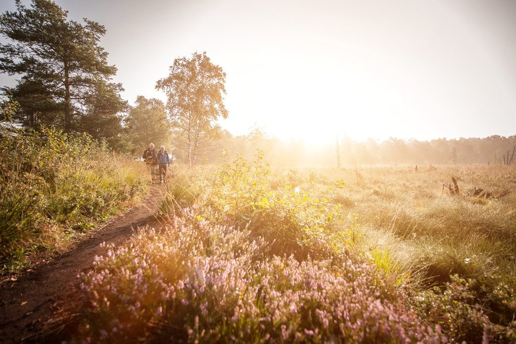 Moorbad Bad Wurzach 5 Säulen Gesundkozept