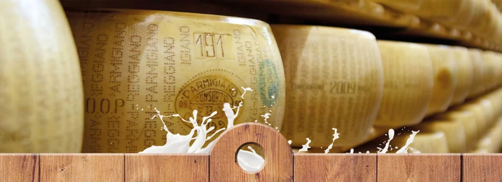 original italienischer Parmesankäse