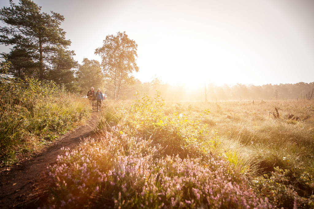 Pflegende Angehörige im Fokus