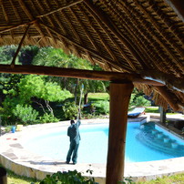 view to pool from 1 floor