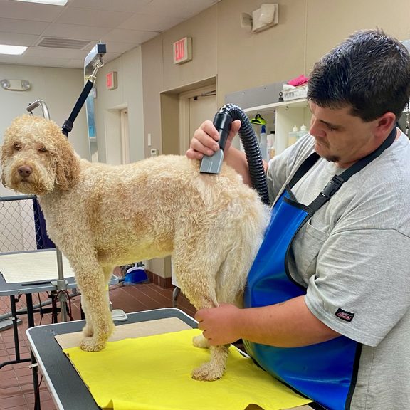 Dog Grooming Pet's Best Friend