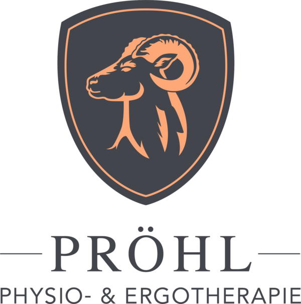 Physio- & Ergotherapie Pröhl