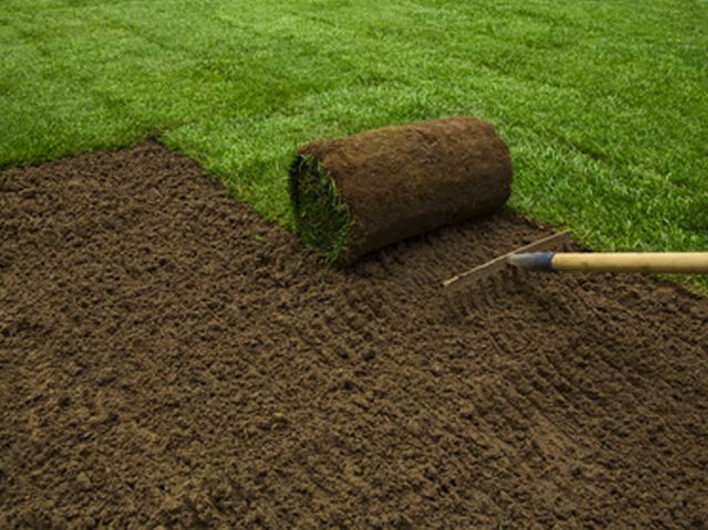 Rasenbau & Rollrasen
