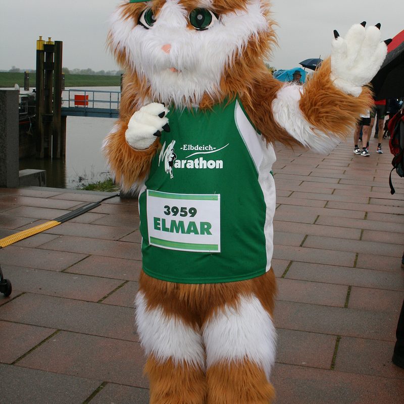 Elmar der  Laufkater und Vereinsmaskottchen