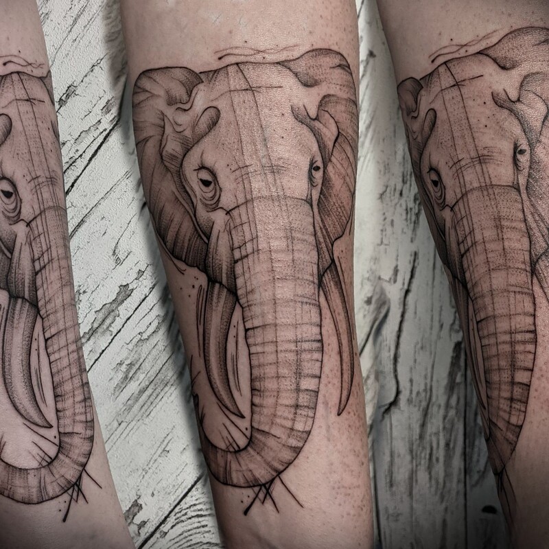 sketch-fineline-tattoo-berlin-elefant