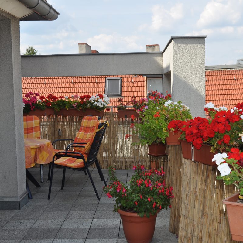 Dachterrasse