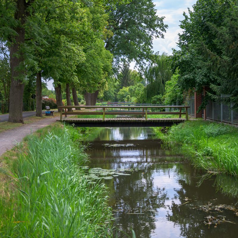 Natur pur! Kalbe (Milde) Altmarkgeschichten
