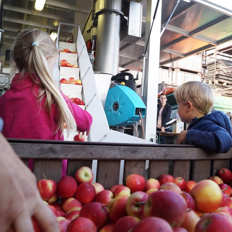 Das Projekt „Most Wanted“ richtet sich an Kindergärten im ländlichen Raum und verfolgt das Ziel, Kindern gesunde
Ernährung nahezubringen.