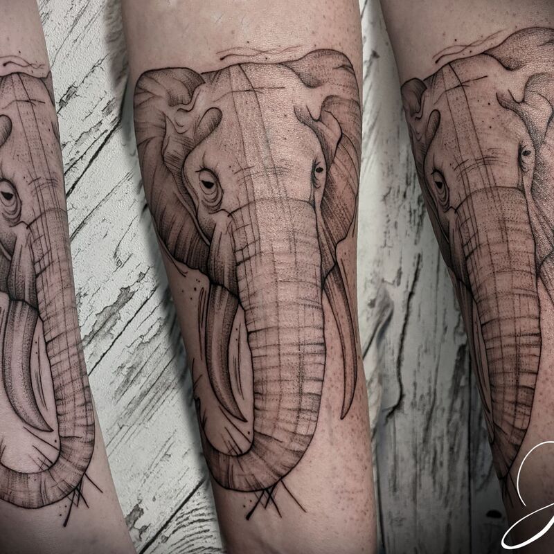 Fineline Tattoo Berlin Sketch Elefant