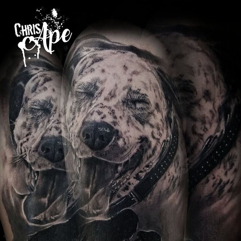 Realistic Portrait Tattoo Berlin Dalmatiner