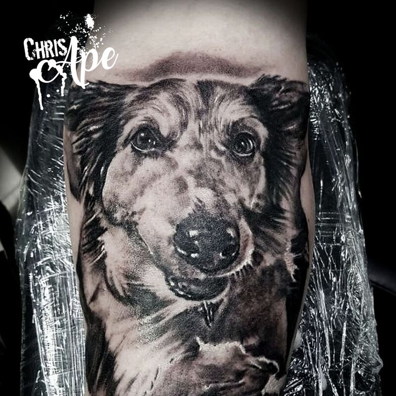 Realistic Portrait Tattoo Berlin Hund Ball